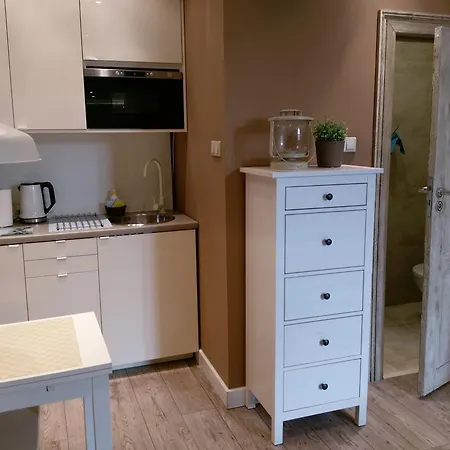 Kamienica Poznanska 7 公寓