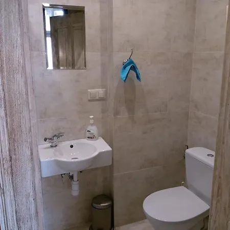 Kamienica Poznanska 7 公寓 *